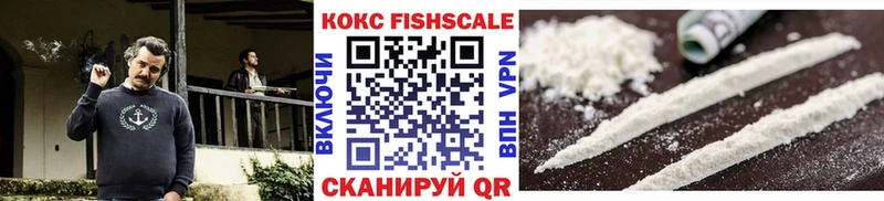 KRAKEN сайт  Соль-Илецк  COCAIN Fish Scale 