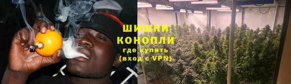 дмт Арсеньев