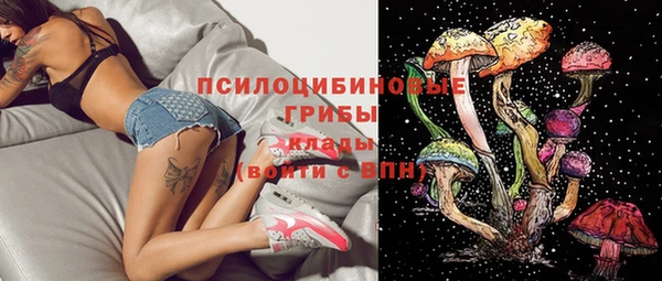 дмт Арсеньев