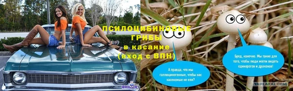 дмт Арсеньев