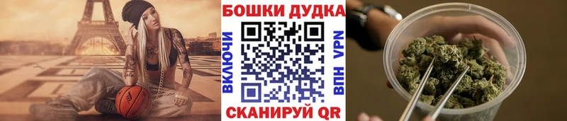 сколько стоит  blacksprut ССЫЛКА  Бошки Шишки планчик  Соль-Илецк 